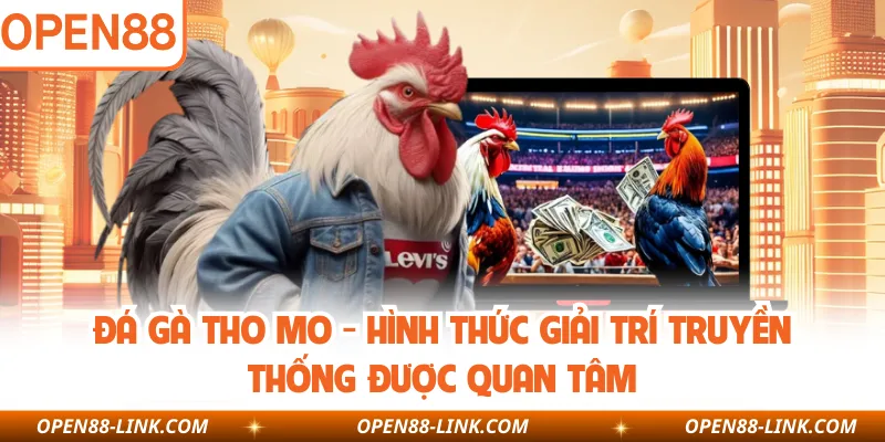 Đá Gà Tho Mo - Hình Thức Giải Trí Truyền Thống Được Quan Tâm